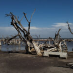 EPECUEN 2