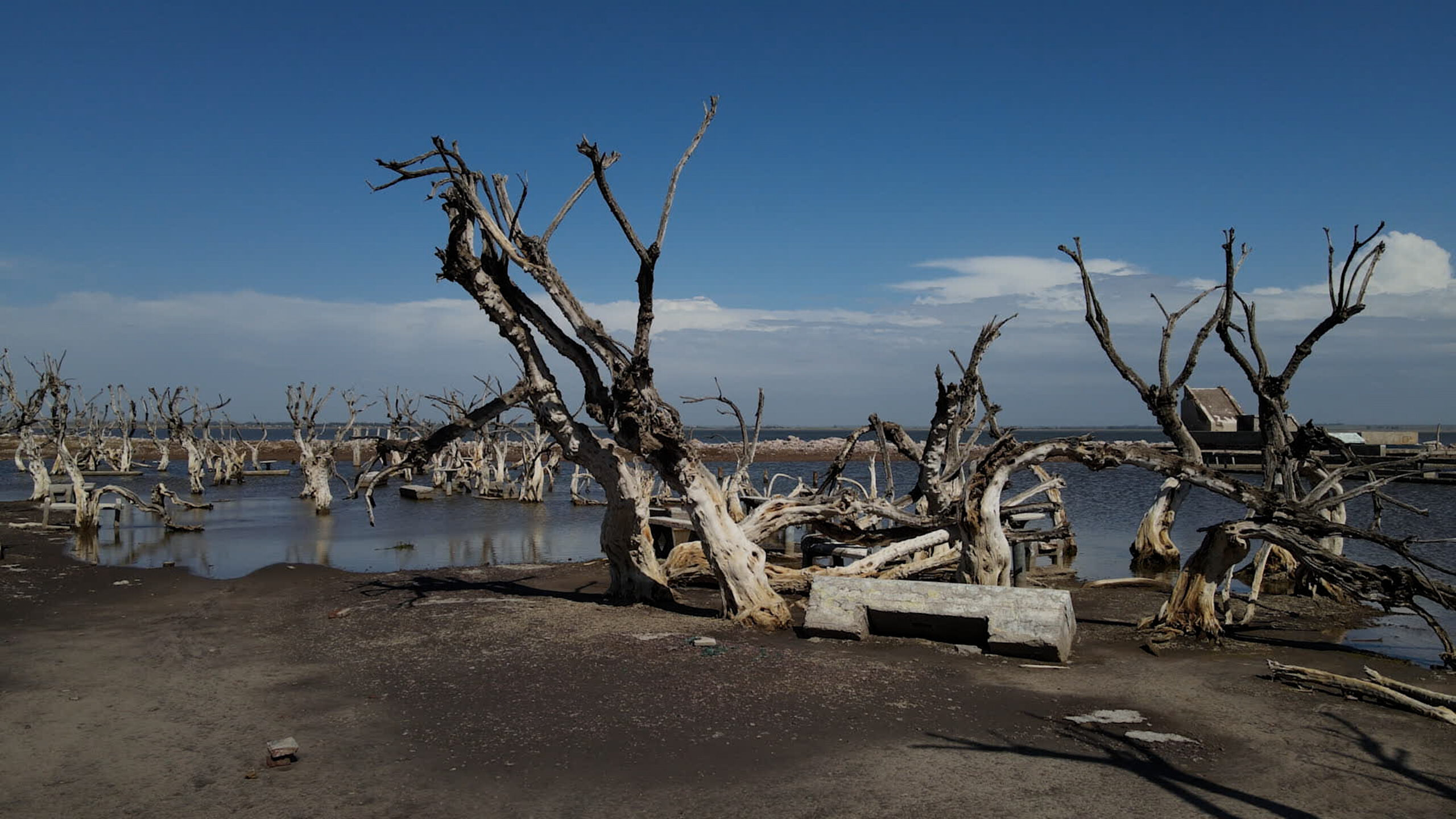 EPECUEN 2